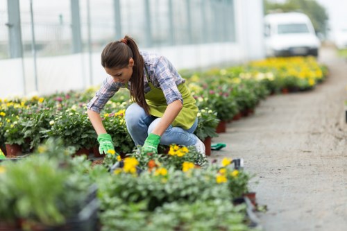 A woman in a greenhouse or garden centre crouches near flower pots, tending to a variety of flowering plants with yellow and purple blossoms. She wears a checkered shirt, blue jeans, and green gardening gloves, using her hands to carefully adjust or examine the plants. The background reveals organized rows of potted flowers on raised beds or benches, with a gravel or paved walkway running between them. The greenhouse structure includes glass panels allowing natural light to illuminate the vibrant colours of the flowers and lush green foliage, creating a bright and inviting outdoor environment. This scene highlights professional gardening practices with attention to detail and plant care, and reflects services related to garden maintenance, planting, and landscaping available in the local area such as the postcode area around [POSTCODE] or the town of [TOWN], as handled by Hedge Trimming Archway, a specialist in gardening and outdoor landscaping services in the UK.