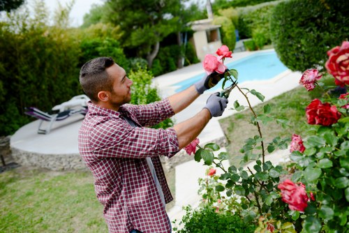 Variety of plants suitable for Archway climate