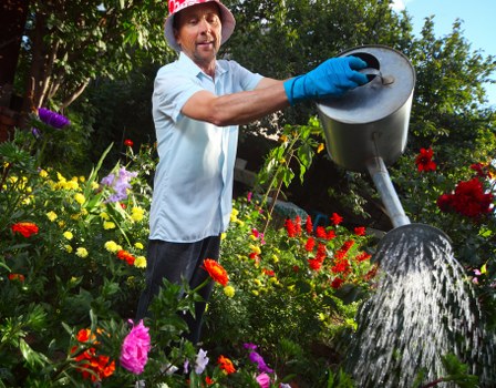 Eco-friendly landscaping practices in action
