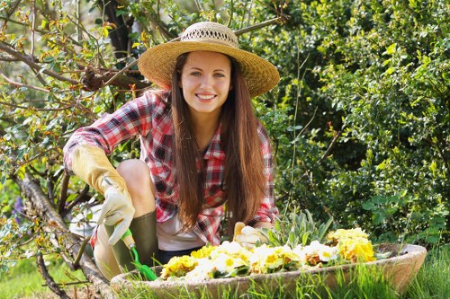 Archway climate influencing garden plant selection
