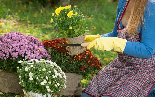 Sustainable garden practices with composting and rainwater harvesting in Archway