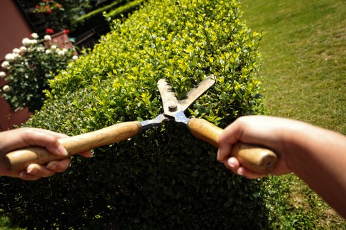 Healthy green lawn maintained by experts
