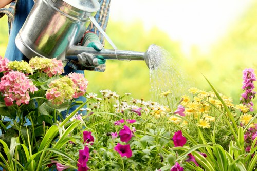 Variety of perennials and shrubs in an Archway garden