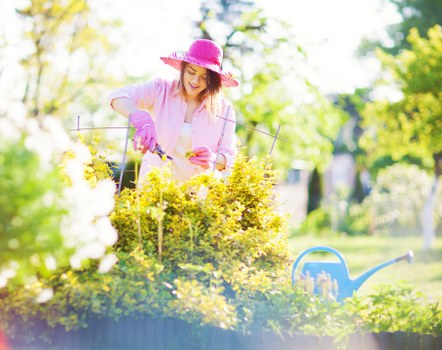 Choosing the right lawn mower