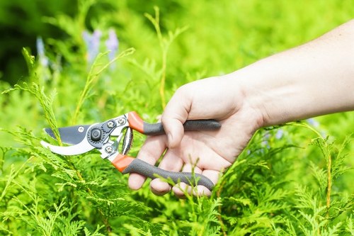 Close-up image showing hedge maintenance notes and a customer concern