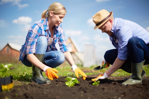 Environmental tree care and sustainable practices